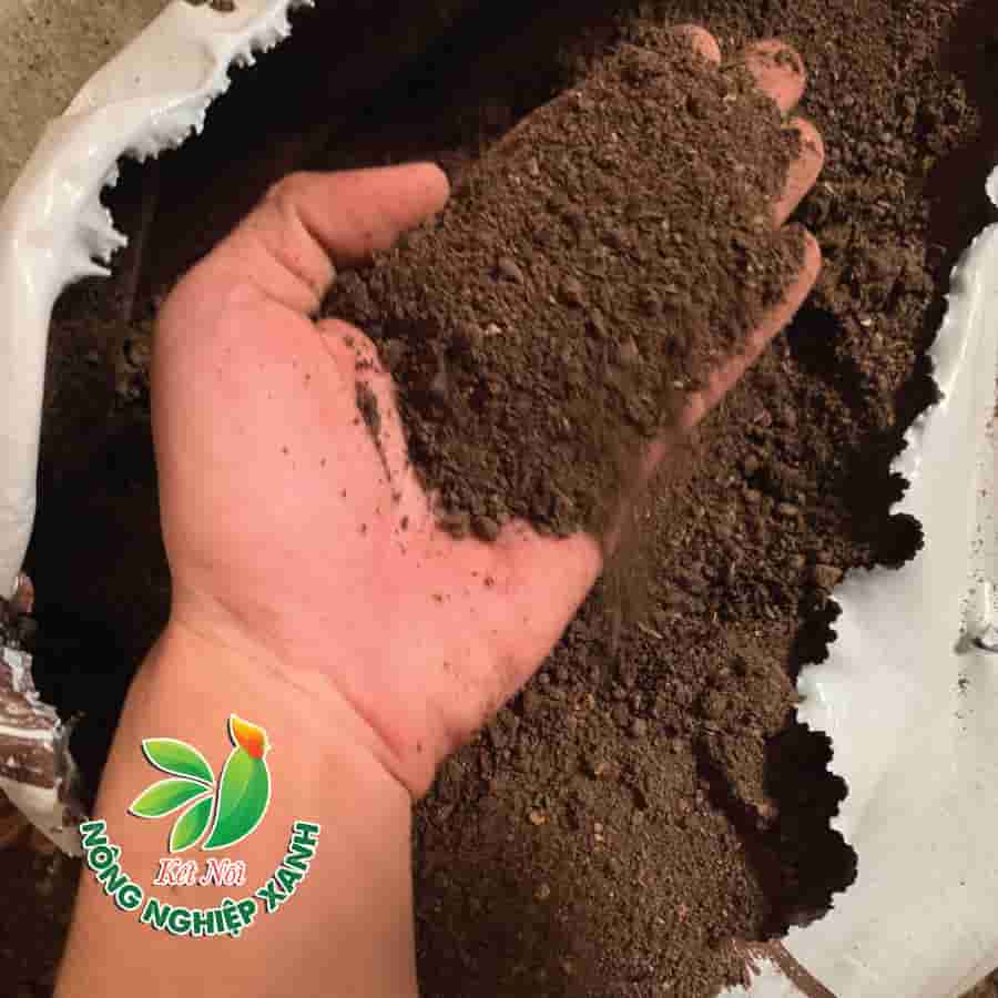 Phân Gà Hữu Cơ Dạng Bột Nhập Khẩu Nhật Bản