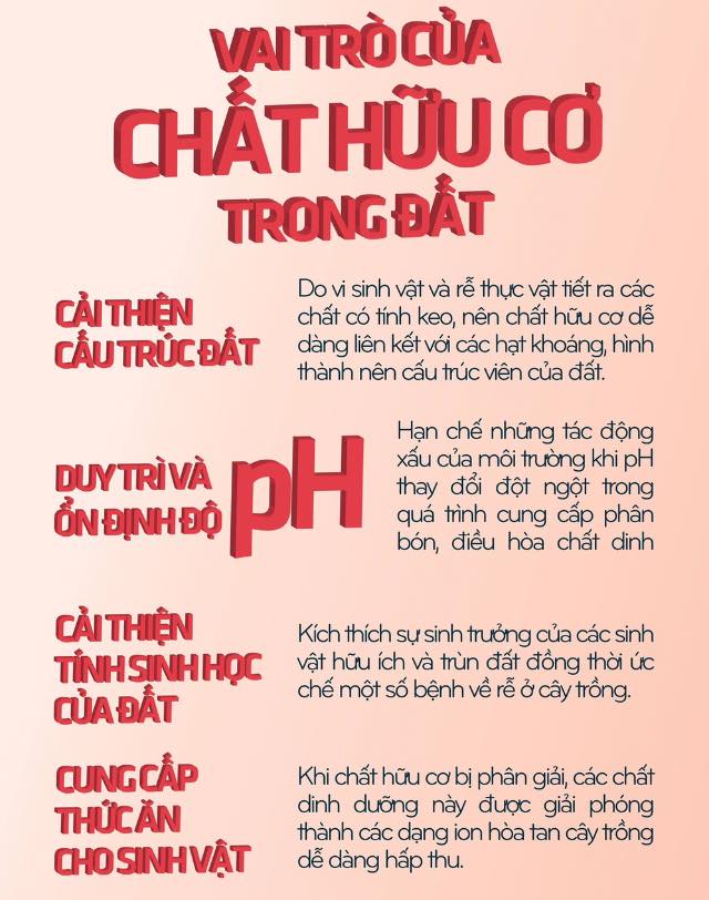 Vai Trò Của Phân Hữu Cơ Trong Nông Nghiệp