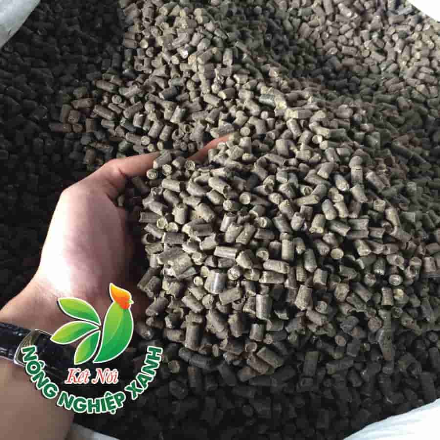 Hạt Phân Gà Nở Sẽ Bung Nở Khi Gặp Nước Cho Cây Hấp Thụ Lâu Hơn