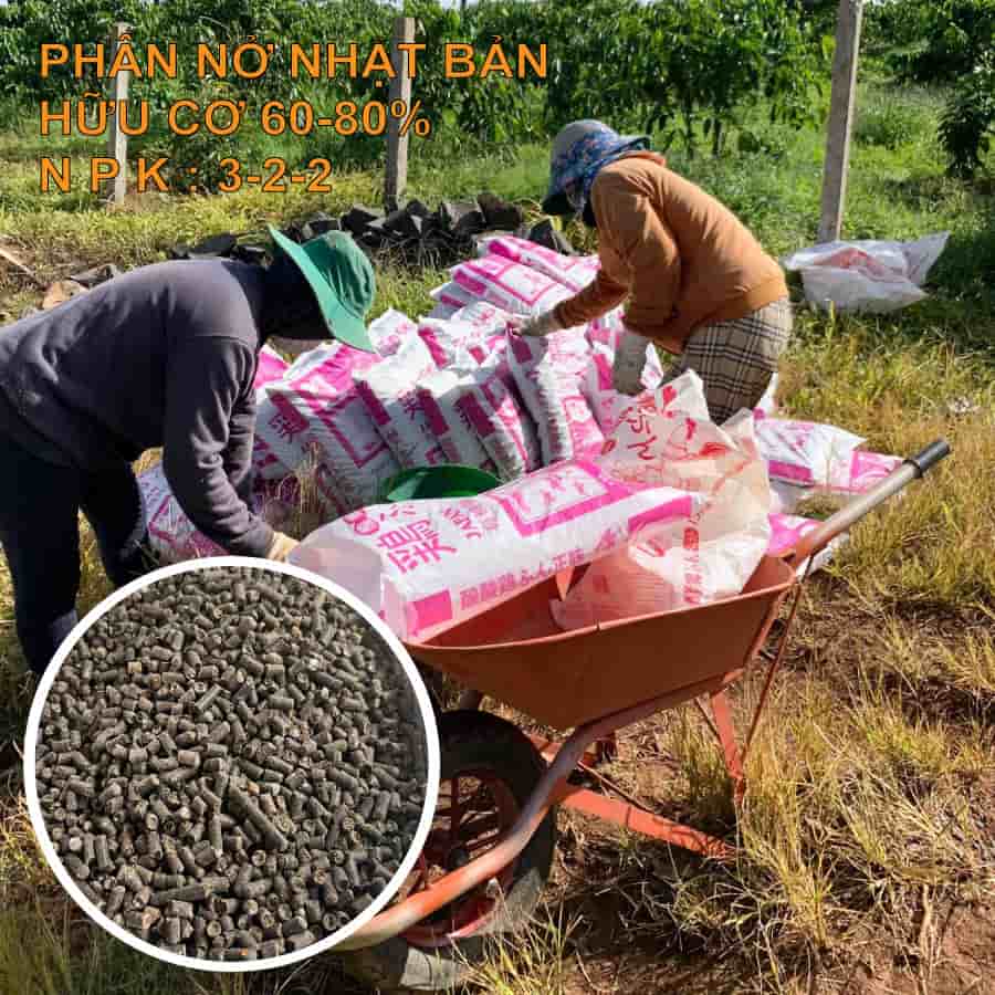 Phân Vi Sinh Hữu Cơ Khoáng Nhật Bản