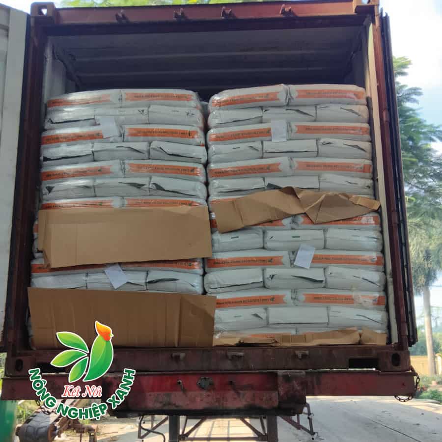 Container Bỉ Nguyên Kiện Nhập Về Cảng