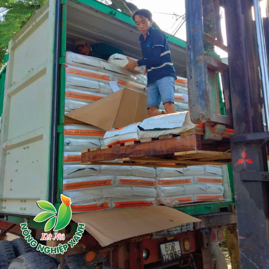 Container Nguyên Kiện Nhập Khẩu