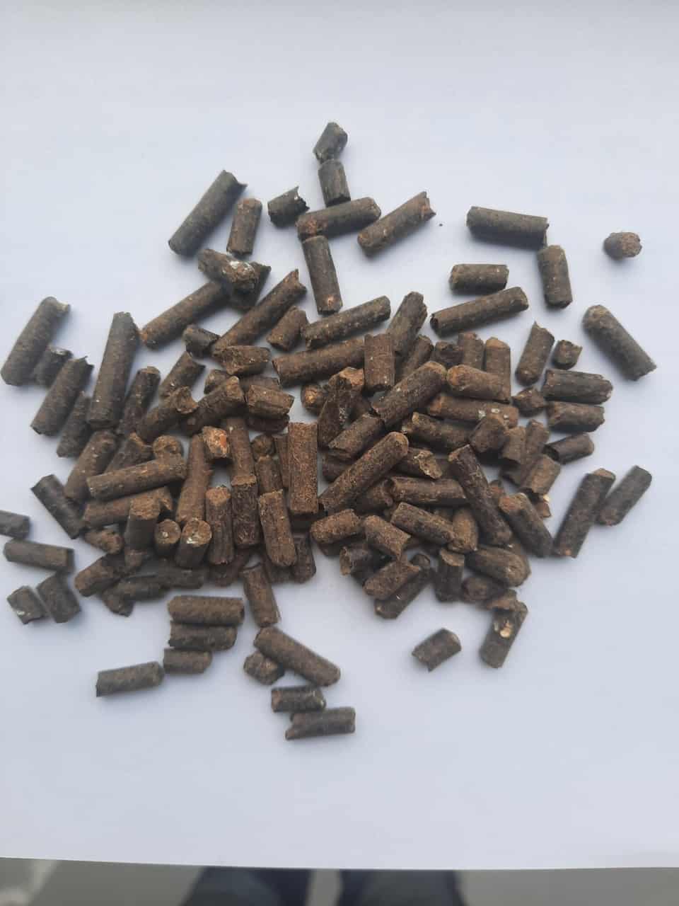 Phân Gà Bỉ Nhập Khẩu Viên Nở