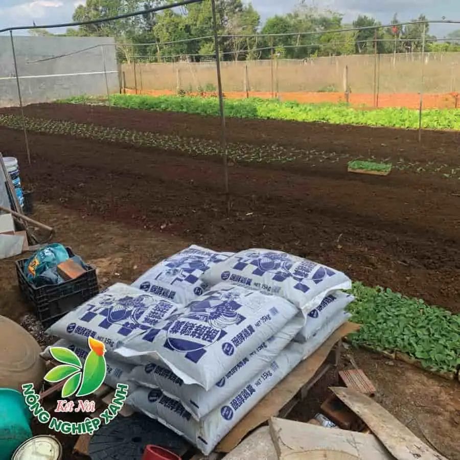 Các Farm Canh Tác Rau, Lagim đã chuyển dần sang sử dụng Phân Bón Hữu Cơ Nhật Dạng Bột