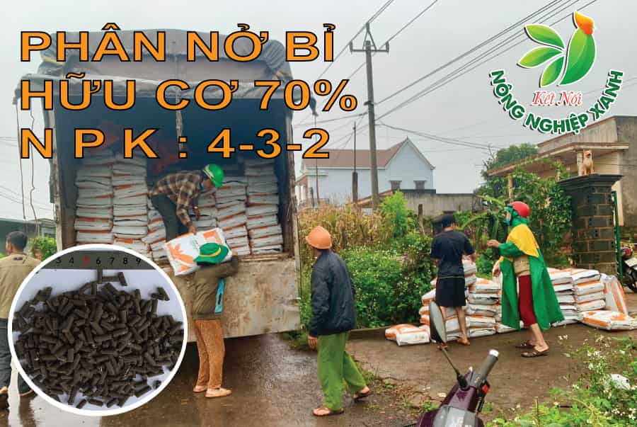 Phân Hữu Cơ Bỉ Được Tin Dùng Và Khen Ngợi Nhiều Năm Liền