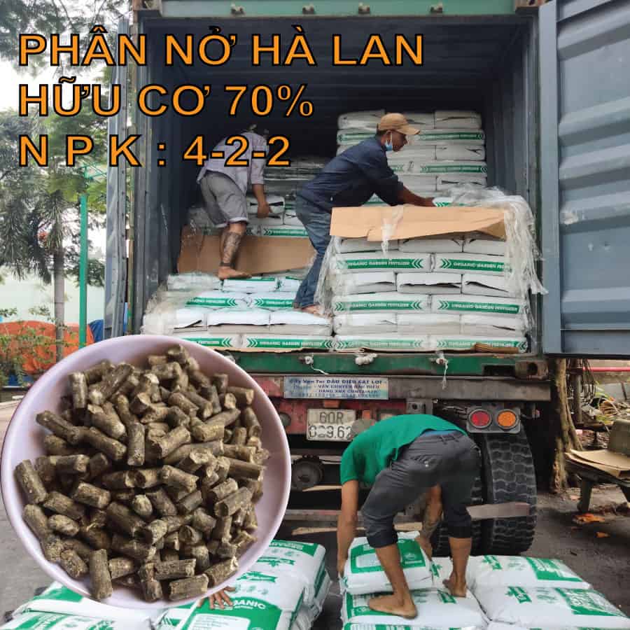 Phân Nở Hà Lan Nhập Khẩu Nguyên Đai Nguyên Kiện