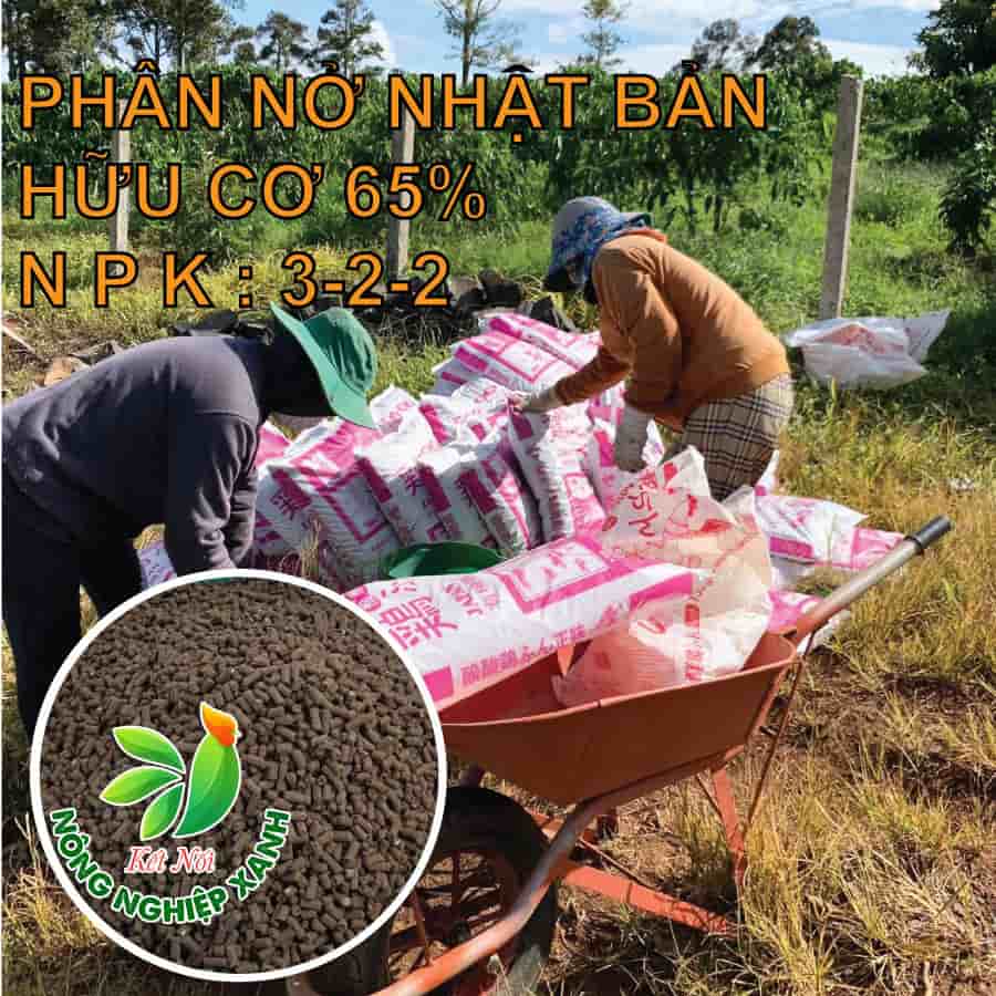 Phân Hữu Cơ Nhật Bản Dạng Viên Nở Nhập Khẩu
