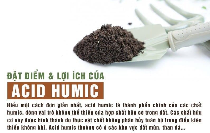 Công Dụng, Tác Dụng Của Axit Humic Và Kali Humate